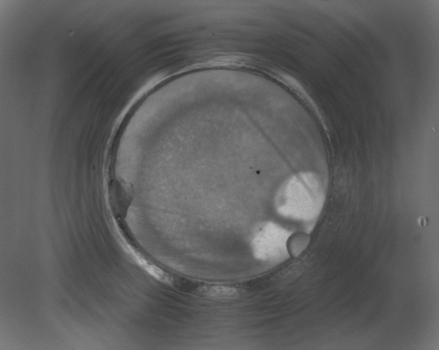 X0000080661235200701121558