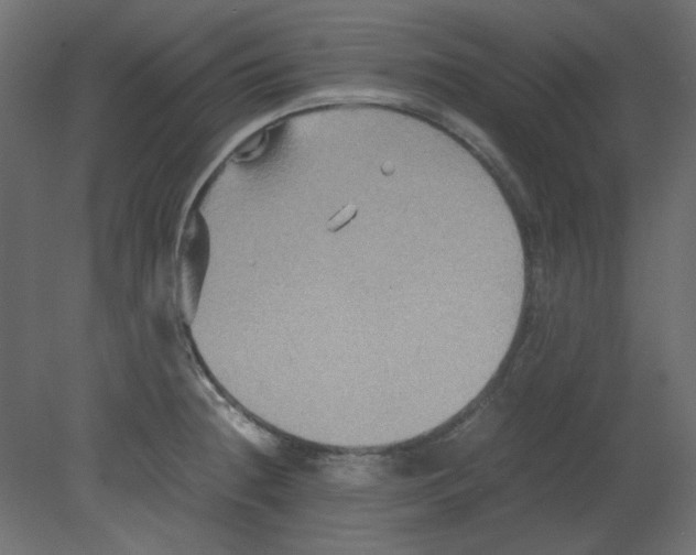 X0000080661236200701121558