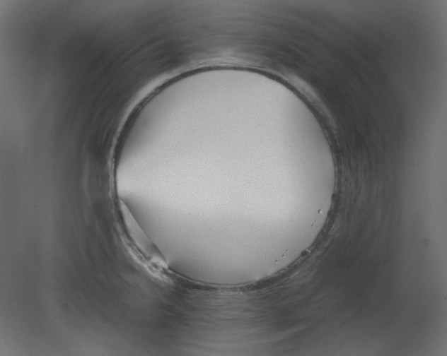 X0000080661238200701121558