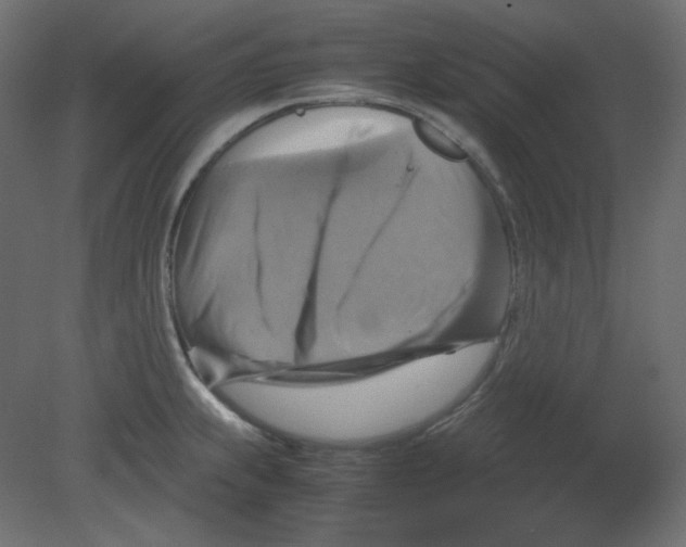 X0000080661239200701121558