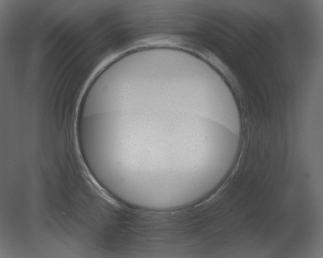 X0000080661240200701121558