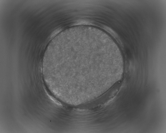 X0000080661241200701121558