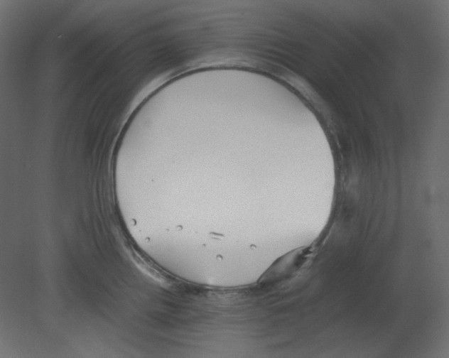 X0000080661242200701121558