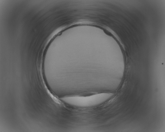 X0000080661245200701121558