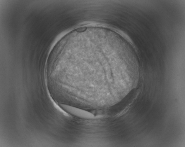 X0000080661247200701121558