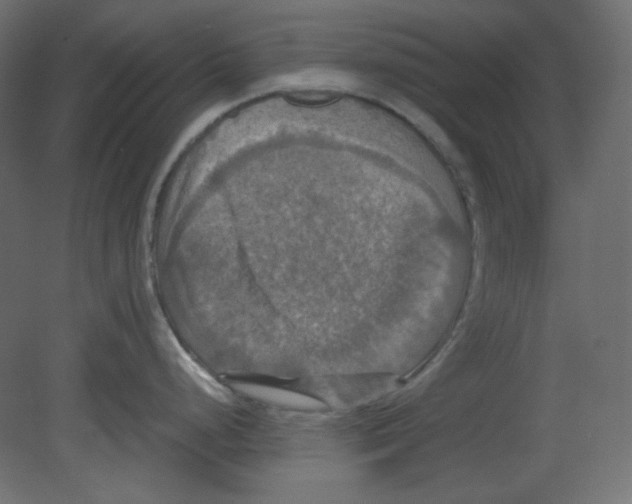 X0000080661248200701121558