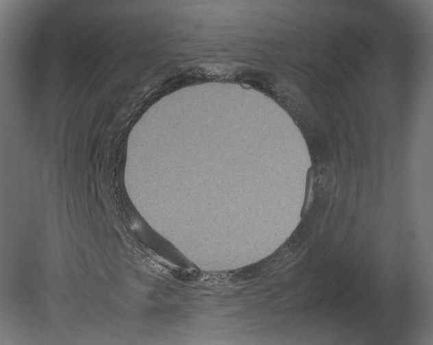 X0000080661249200701121557