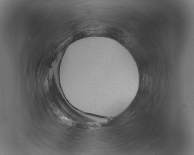 X0000080661250200701121557