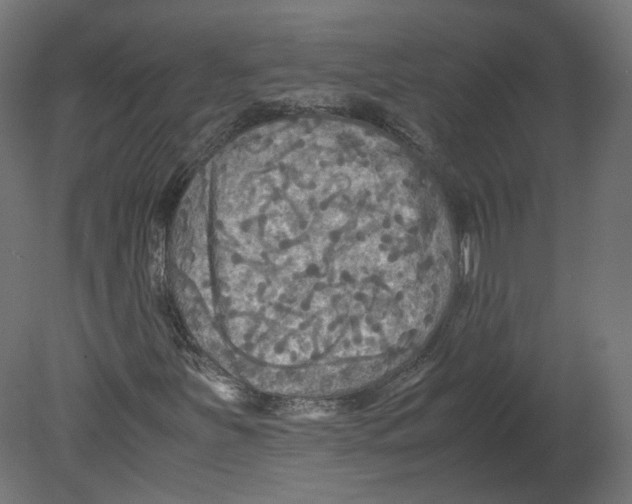 X0000080661251200701121557