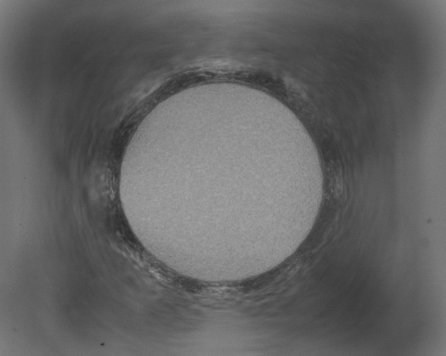 X0000080661253200701121557