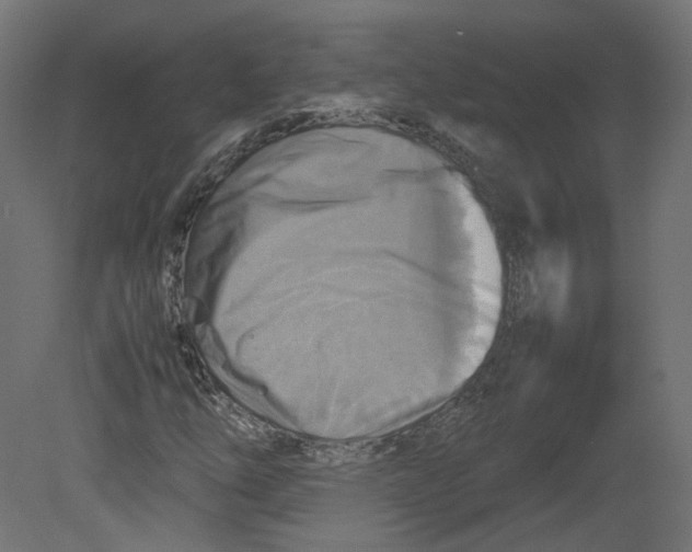 X0000080661254200701121557