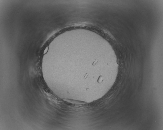 X0000080661256200701121557