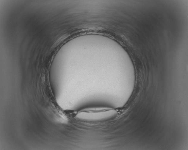 X0000080661257200701121557