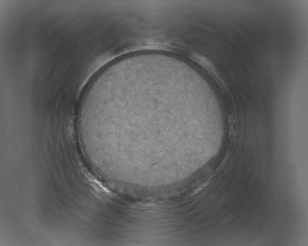 X0000080661260200701121557