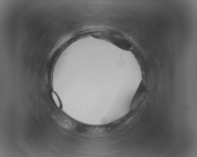 X0000080661261200701121557