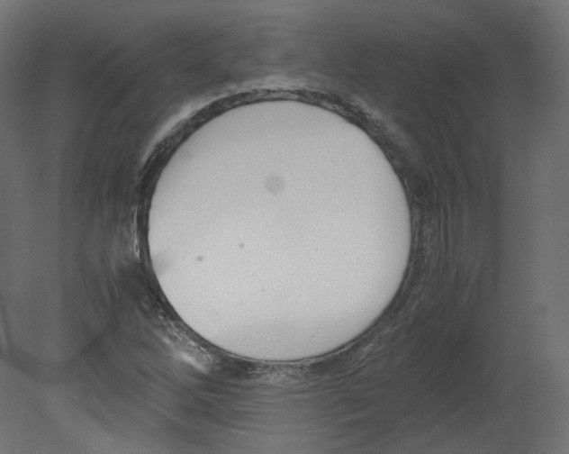 X0000080661262200701121557