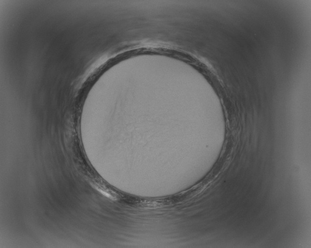 X0000080661263200701121557