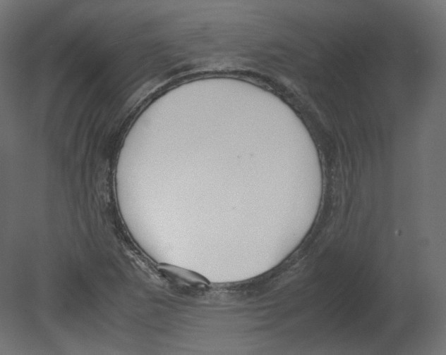 X0000080661265200701121557