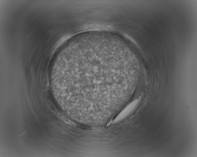 X0000080661267200701121557