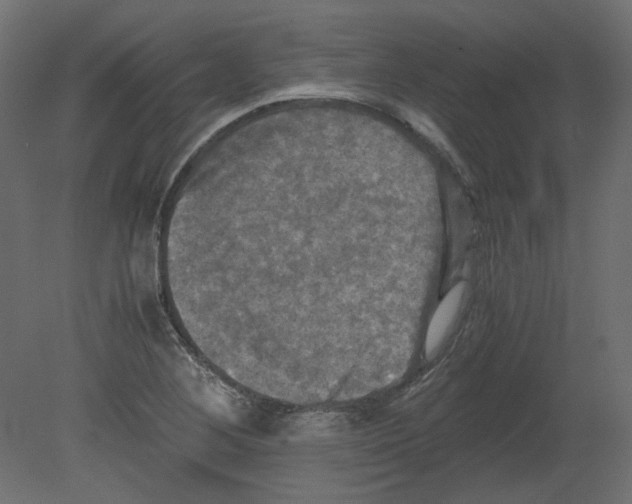 X0000080661268200701121557