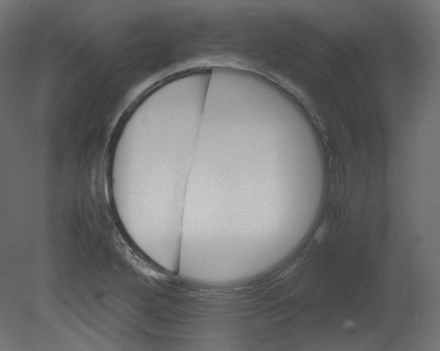 X0000080661272200701121557