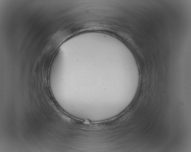 X0000080661273200701121557