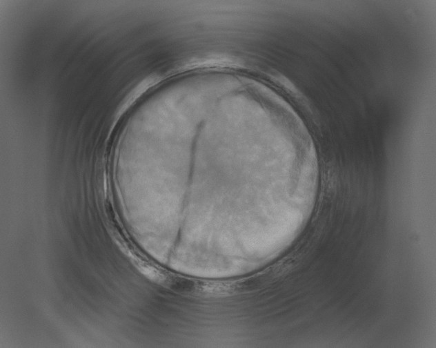 X0000080661274200701121557