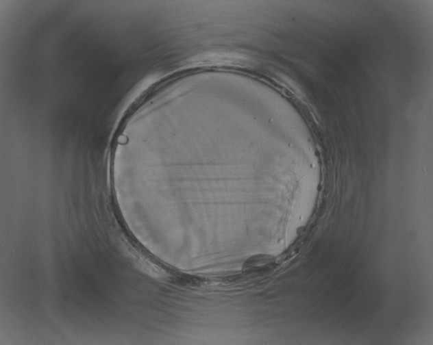 X0000080661275200701121557