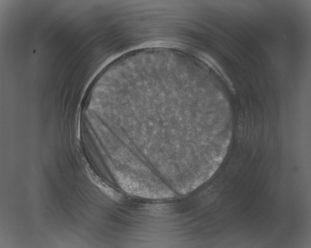 X0000080661276200701121557