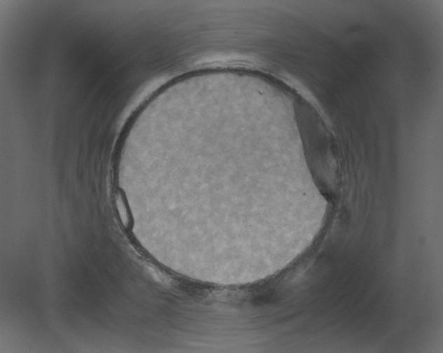 X0000080661277200701121557