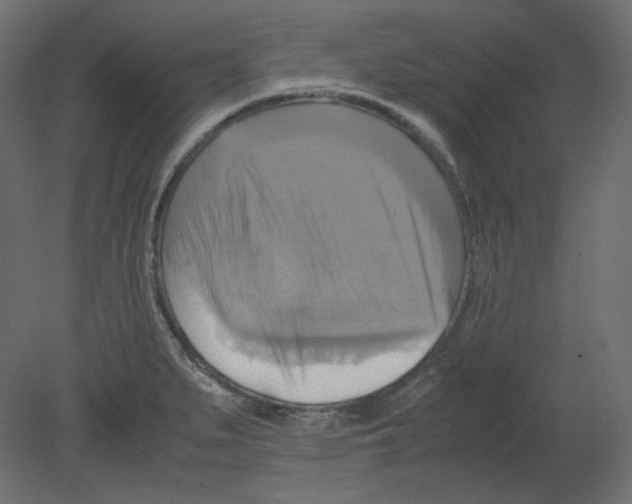 X0000080661279200701121557