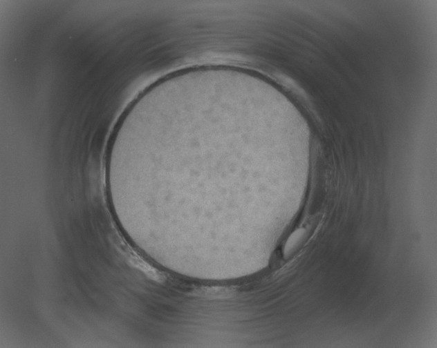 X0000080661280200701121557