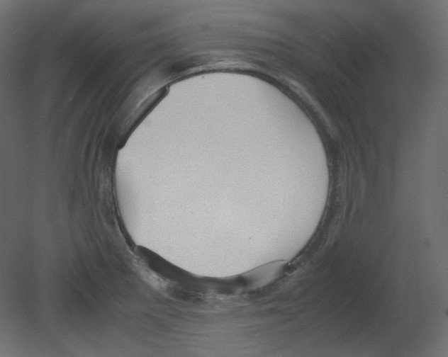 X0000080661281200701121557