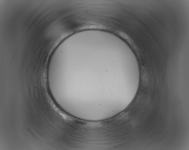 X0000080661282200701121557