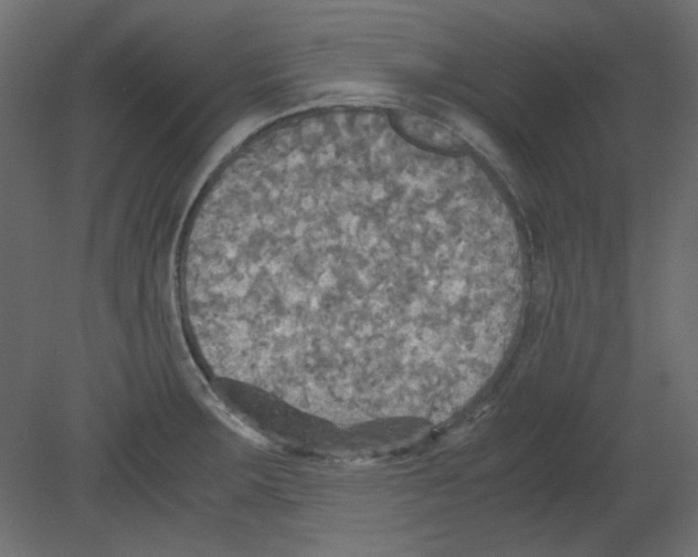 X0000080661283200701121557