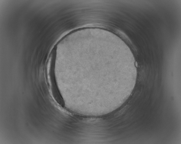 X0000080661284200701121557