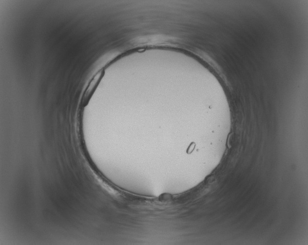 X0000080661285200701121557