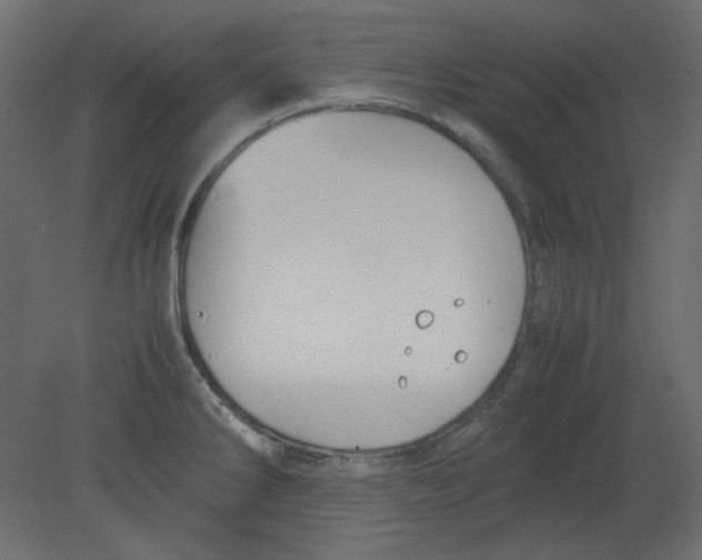 X0000080661286200701121557