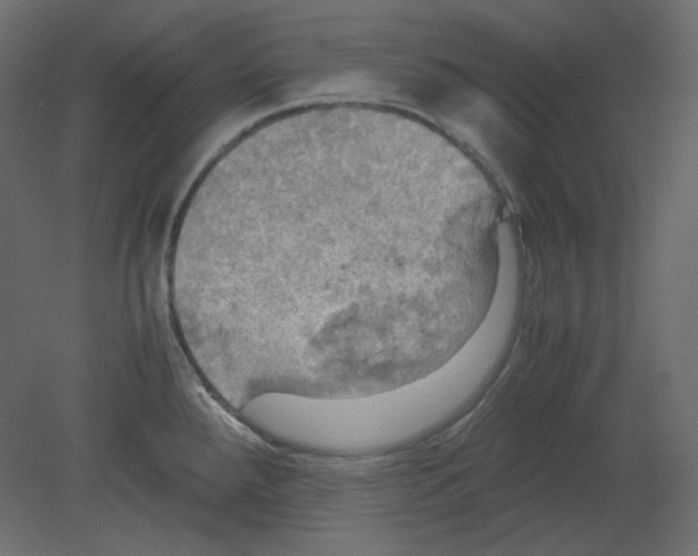 X0000080661288200701121557