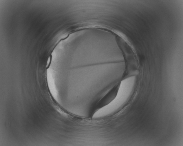 X0000080661289200701121557