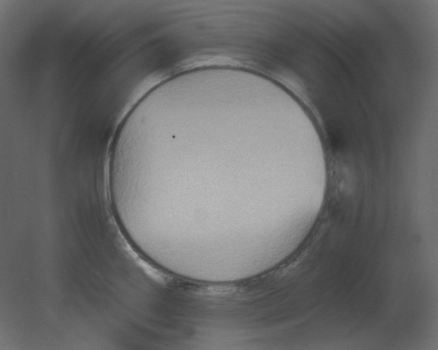 X0000080661290200701121556