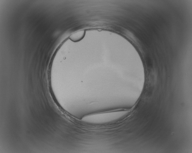 X0000080661291200701121556