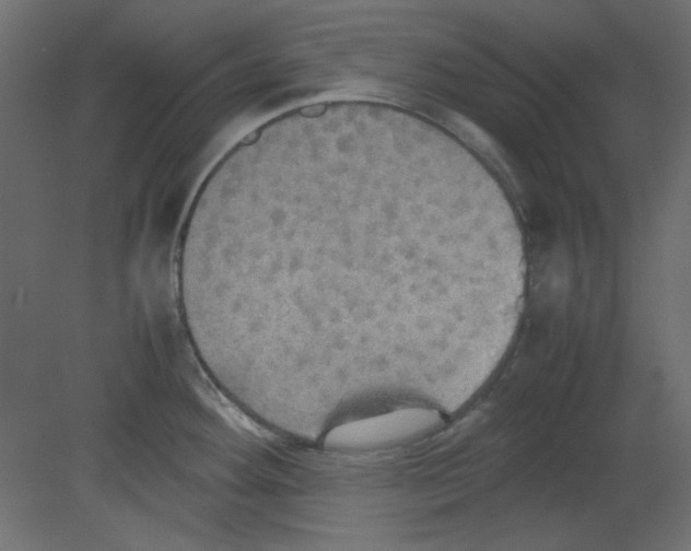 X0000080661292200701121556