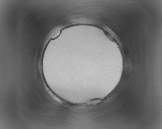 X0000080661293200701121556