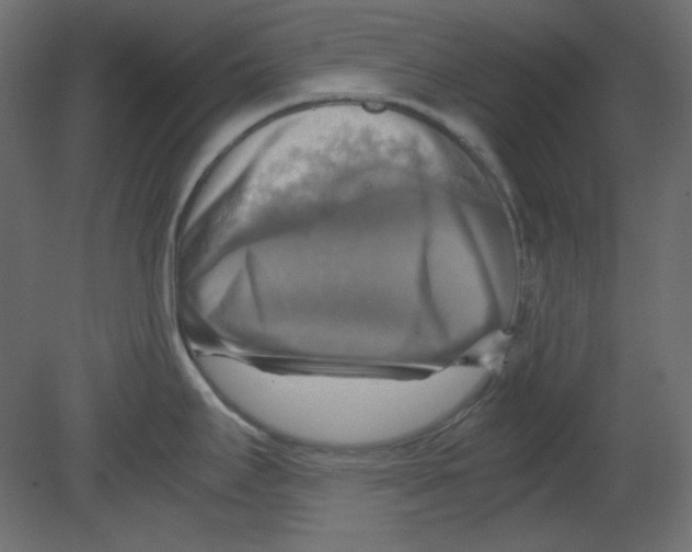 X0000080661295200701121556