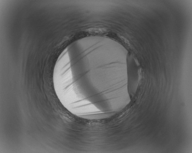 X0000080661297200701121556