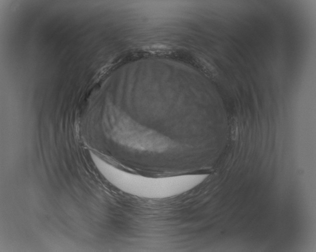 X0000080661298200701121556