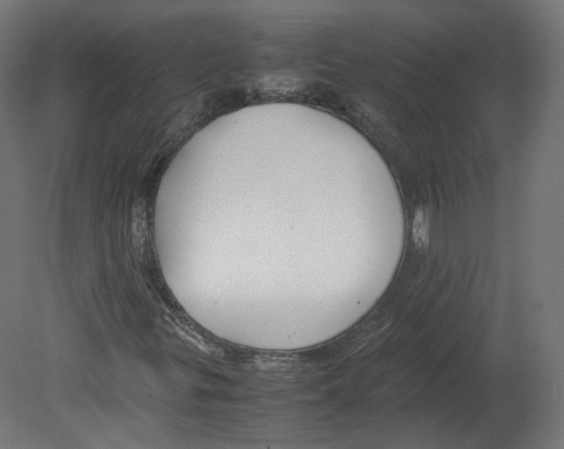 X0000080661299200701121556