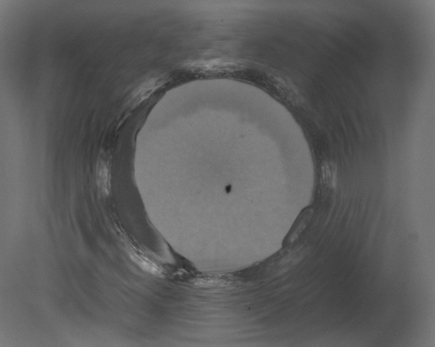 X0000080661300200701121556