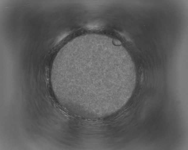 X0000080661301200701121556